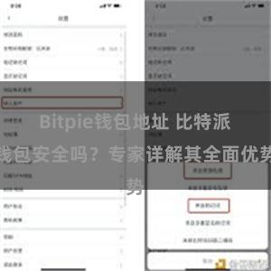 Bitpie钱包地址 比特派钱包安全吗？专家详解其全面优势