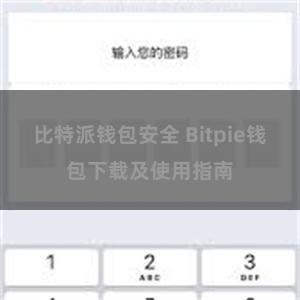 比特派钱包安全 Bitpie钱包下载及使用指南