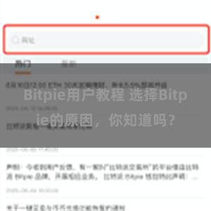 Bitpie用户教程 选择Bitpie的原因，你知道吗？