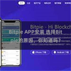 Bitpie APP安装 选择Bitpie的原因，你知道吗？