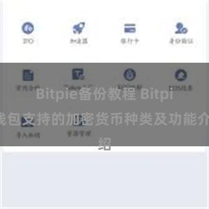 Bitpie备份教程 Bitpie钱包支持的加密货币种类及功