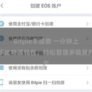 Bitpie手续费 一分钟上手比特派钱包，轻松管理多链资产