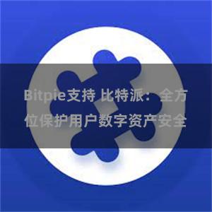 Bitpie支持 比特派：全方位保护用户数字资产安全