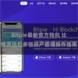 Bitpie最新官方钱包 比特派钱包多链资产管理操作指南