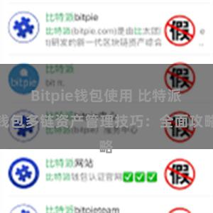 Bitpie钱包使用 比特派钱包多链资产管理技巧：全面攻略