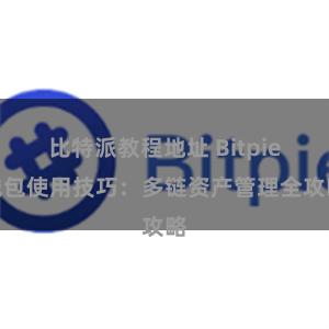 比特派教程地址 Bitpie钱包使用技巧：多链资产管理全攻略