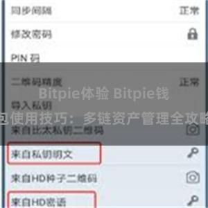 Bitpie体验 Bitpie钱包使用技巧：多链资产管理全攻略