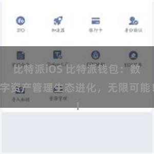 比特派iOS 比特派钱包：数字资产管理生态进化，无限可能！