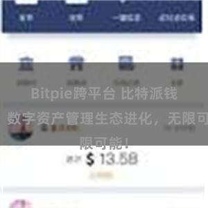 Bitpie跨平台 比特派钱包：数字资产管理生态进化，无限可能！