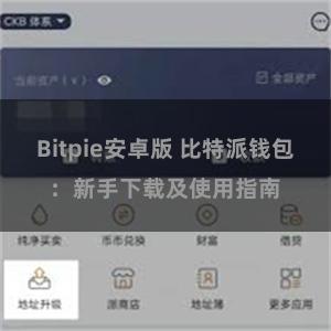 Bitpie安卓版 比特派钱包：新手下载及使用指南