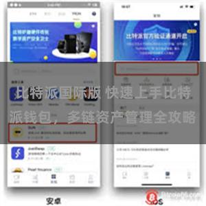 比特派国际版 快速上手比特派钱包，多链资产管理全攻略