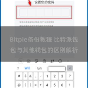 Bitpie备份教程 比特派钱包与其他钱包的区别解析