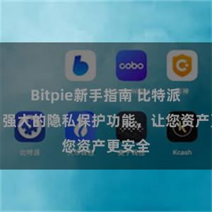 Bitpie新手指南 比特派钱包：强大的隐私保护功能，让您资产更安全