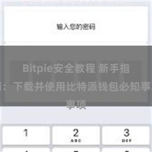 Bitpie安全教程 新手指南：下载并使用比特派钱包必知事项