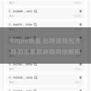 Bitpie恢复 比特派钱包支持的主要区块链网络解析