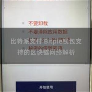 比特派支付 Bitpie钱包支持的区块链网络解析