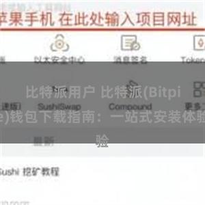 比特派用户 比特派(Bitpie)钱包下载指南：一站式安装体验