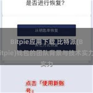 Bitpie应用下载 比特派(Bitpie)钱包的团队背景与技术实力