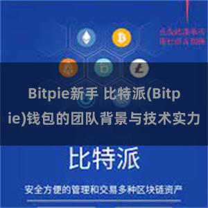 Bitpie新手 比特派(Bitpie)钱包的团队背景与技术实力