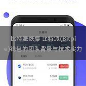 比特派恢复 比特派(Bitpie)钱包的团队背景与技术实力