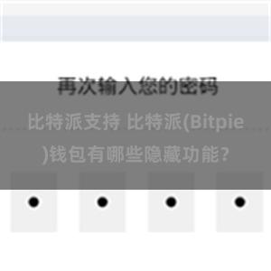 比特派支持 比特派(Bitpie)钱包有哪些隐藏功能？