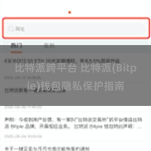 比特派跨平台 比特派(Bitpie)钱包隐私保护指南