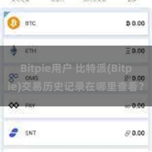 Bitpie用户 比特派(Bitpie)交易历史记录在哪里查看？