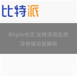 Bitpie中文 比特派钱包的冷存储功能解析