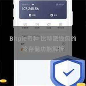 Bitpie币种 比特派钱包的冷存储功能解析