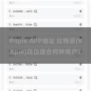 Bitpie APP地址 比特派(Bitpie)钱包适合何种用户？