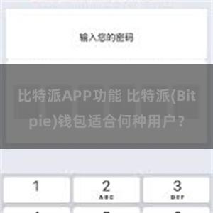 比特派APP功能 比特派(Bitpie)钱包适合何种用户？