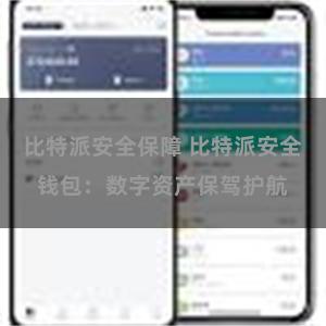 比特派安全保障 比特派安全钱包：数字资产保驾护航