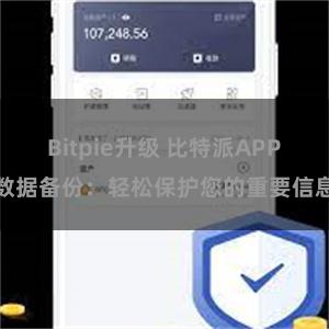 Bitpie升级 比特派APP数据备份：轻松保护您的重要信息