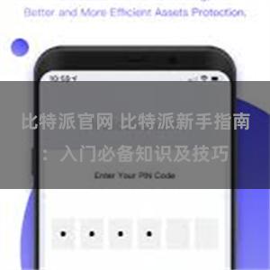 比特派官网 比特派新手指南：入门必备知识及技巧