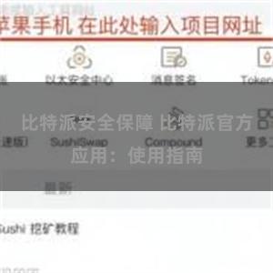 比特派安全保障 比特派官方应用：使用指南
