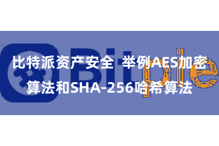 比特派资产安全  举例AES加密算法和SHA-256哈希算法