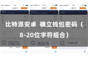比特派安卓  确立钱包密码（8-20位字符组合）