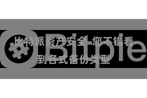 比特派资产安全 您不错看到各式备份类型