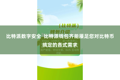 比特派数字安全  比特派钱包齐能餍足您对比特币搞定的各式需求