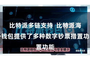 比特派多链支持 比特派海外钱包提供了多种数字钞票措置功能