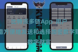 比特派多链App  用户不错方便地发送和选择加密数字财富