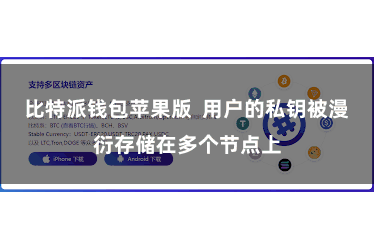 比特派钱包苹果版  用户的私钥被漫衍存储在多个节点上